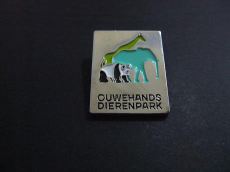 Ouwehands Dierenpark dierentuin in Rhenen ( Pandabeer, Giraf, Olifant)